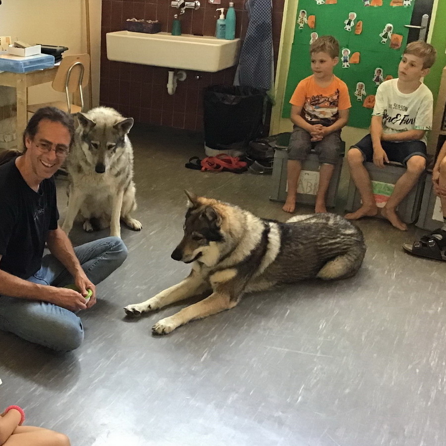WolfsNatur | Artgerechte Hundebetreuung