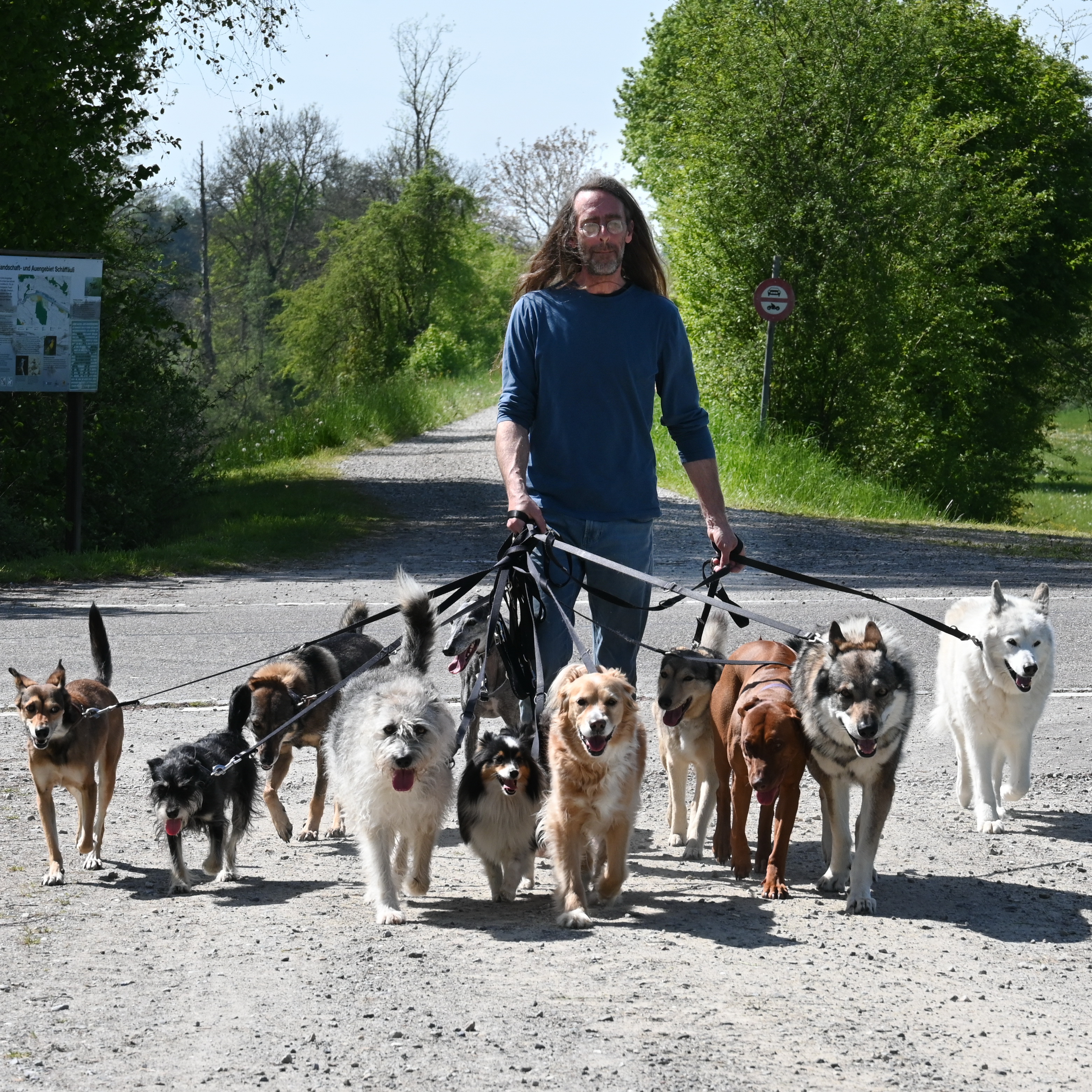 WolfsNatur | Artgerechte Hundebetreuung